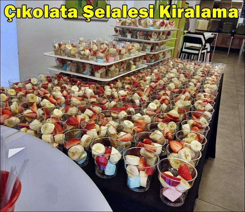 Çikolata Şelalesi Kiralama